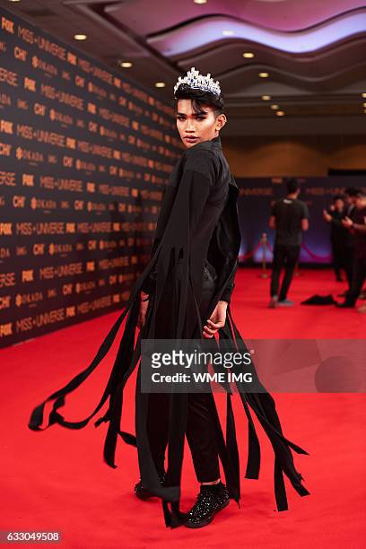 Red Carpet Host Bretman Rock on the red carpet before The 65th MISS UNIVERSE® contest held at the Mall of Asia Arena on January 29, 2017 in Manila,...