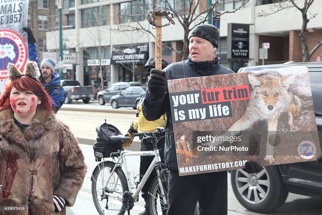 Anti-Fur protest in Toronto, Canada