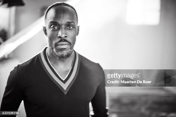 Michael K. Williams from ABC's 'When We Rise' poses in the Getty Images Portrait Studio at the 2017 Winter Television Critics Association press tour...