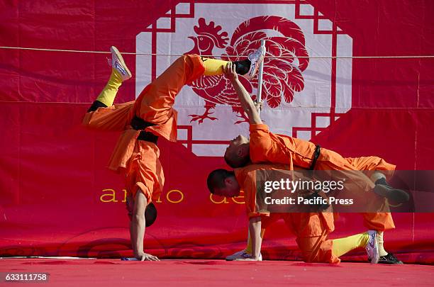 Presentation of martial arts during the celebration of Chinese New Year. Chinese New Year, also known as Spring Festival in China, is China's most...