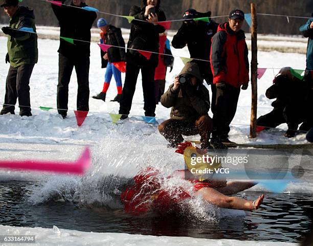 Winter swimmer wearing a chick hat jumps into water to celebrate the Year of the Rooster at Beiling Park on January 31, 2017 in Shenyang, Liaoning...