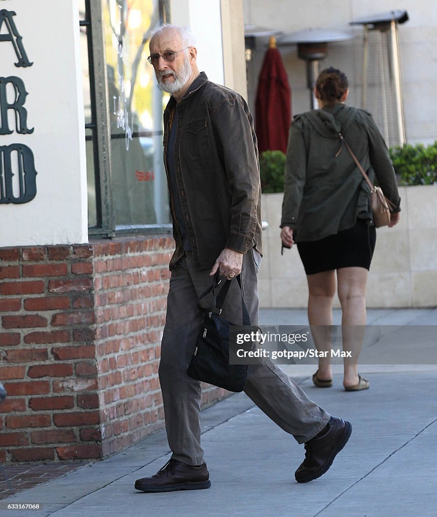 Celebrity Sightings in Los Angeles - January 30, 2017