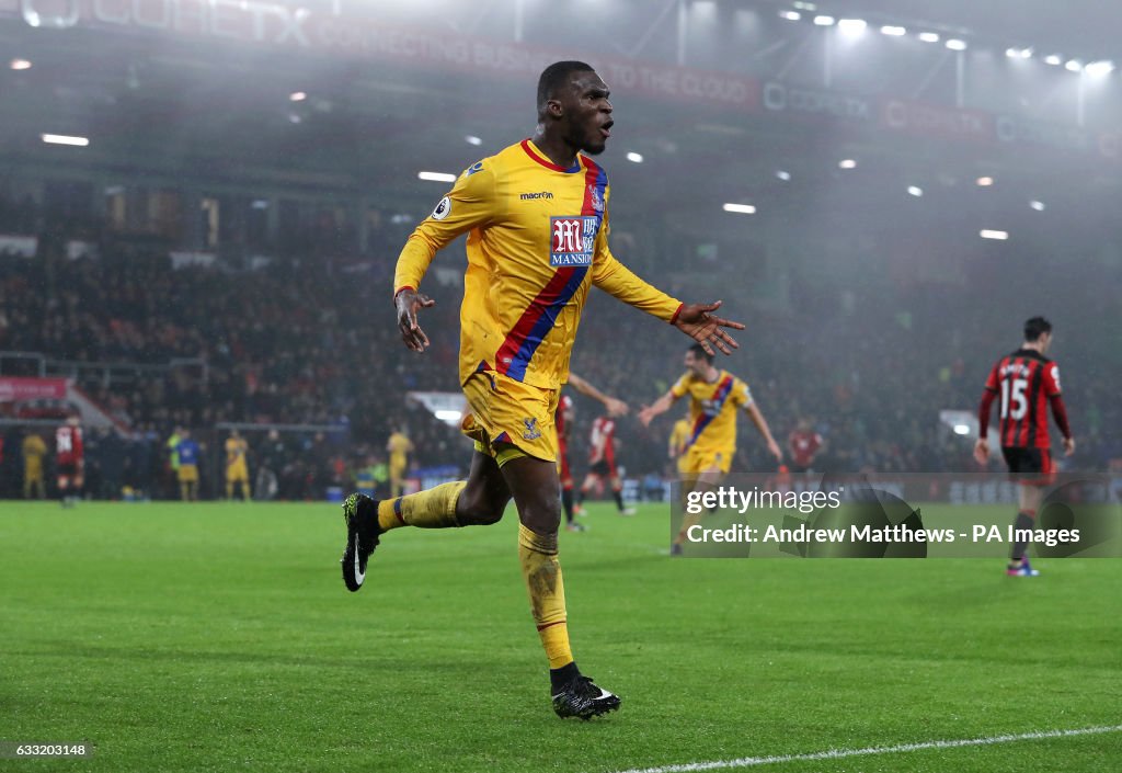 AFC Bournemouth v Crystal Palace - Premier League - Vitality Stadium