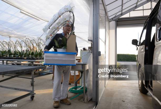 Farmer Takanobu Ushimura loads potted orchids into a van outside a greenhouse at Ushimura Orchid Farm, a supplier to ArtGreen Co., in Ebina City,...