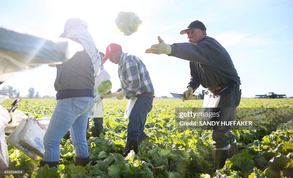 US-ECONOMY-MIGRANTS-FARMING