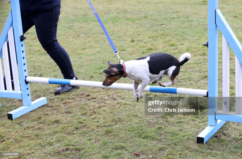 The Duchess Of Cornwall Visits Battersea Dogs & Cats Home, Old Windsor