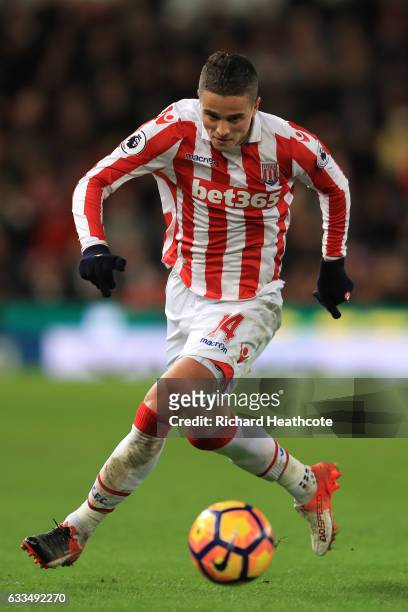 Ibrahim Afellay of Stoke in action during the Premier League match between Stoke City and Everton at Bet365 Stadium on February 1, 2017 in Stoke on...