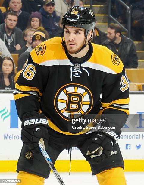 Zac Rinaldo of the Boston Bruins plays in the game against the Toronto Maple Leafs at TD Garden on February 2, 2016 in Boston, Massachusetts.