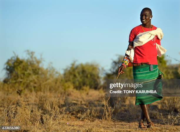 Adowan Letowon 28-years-old, a Samburu "moran" or warrior walks on January 23 in the Loisaba wildlife conservancy on a plateau northwest of Mount...