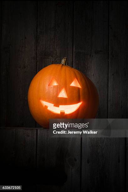 pumpkin - inside of pumpkin stock pictures, royalty-free photos & images