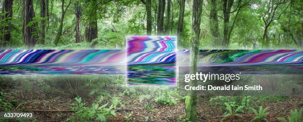 distorted digital stream in remote forest - distorted stock pictures, royalty-free photos & images