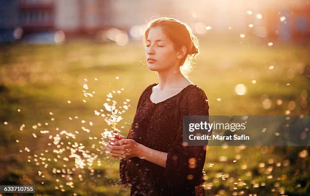 caucasian woman standing in field with blowing dandelion seeds - löwenzahn samen stock-fotos und bilder