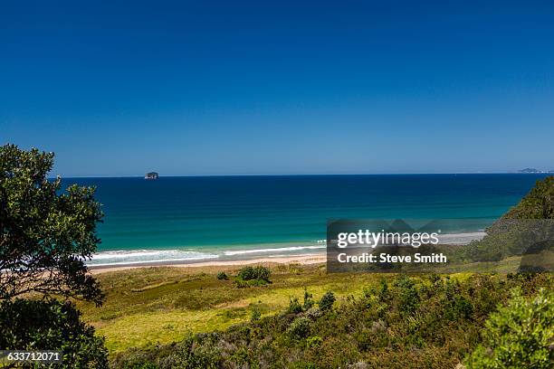 hillside and remote beach under blue sky - hot water beach coromandel stock pictures, royalty-free photos & images