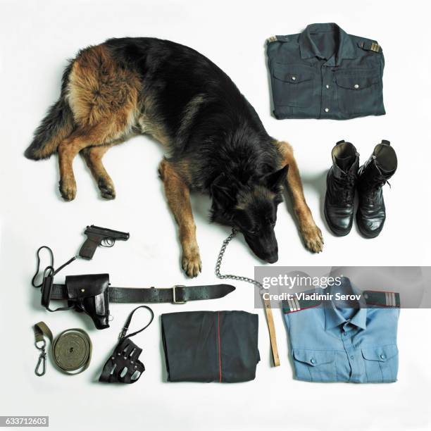 organized police uniform and equipment with dog - perro adiestrado fotografías e imágenes de stock