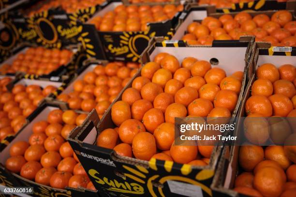 Boxes of clementines are packaged for sale at the New Covent Garden fruit and vegetable wholesale market, Nine Elms on February 4, 2017 in London,...