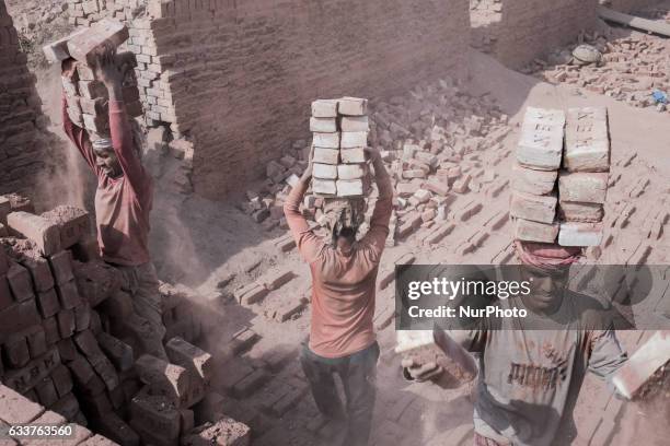 Wrokers arrenge bricks for burning in a brickfield at Narayanganj, Bangladesh, on February 4, 2017.