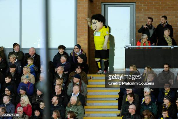 The Burton Albion mascot looks on during the Sky Bet Championship match between Burton Albion and Wolverhampton Wanderers at Pirelli Stadium on...