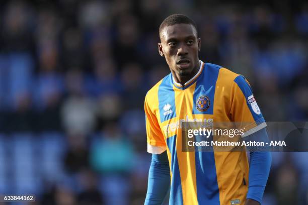 Freddie Ladapo of Shrewsbury Town during the Sky Bet League One match between Shrewsbury Town and Bury at Greenhous Meadow on February 4, 2017 in...