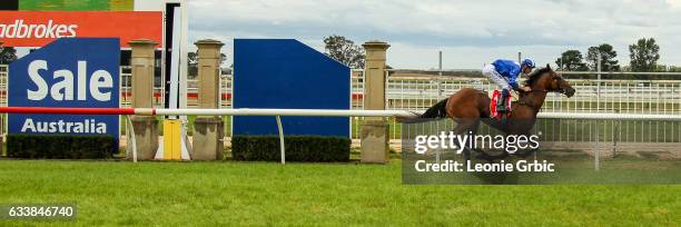 Muraahib ridden by Steven Arnold wins the WorkforceXS SV 2YO Handicap at Sale Racecourse on February 05, 2017 in Sale, Australia.