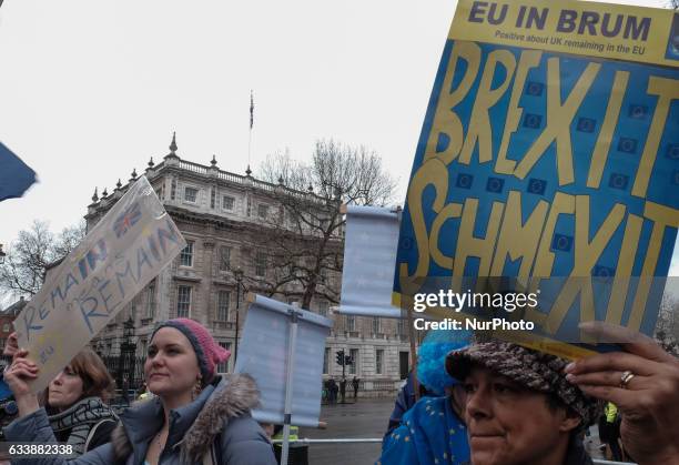 Demonstrators hold anti-Brexit and anti-US President Donald Trump placards as they protest outside Downing street in London on February 4, 2017.