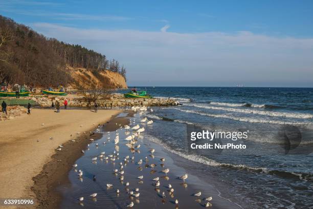People walking at the Orlowo beach near the Orlowski Cliff are seen on 5 February 2017 in Gdynia, Poland .