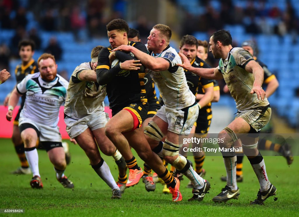 Wasps v Ospreys - Anglo-Welsh Cup