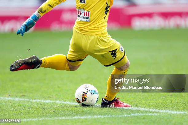 Illustration ball during the Ligue 1 match between Toulouse Fc and Angers Sco at Stadium Municipal on February 5, 2017 in Toulouse, France.