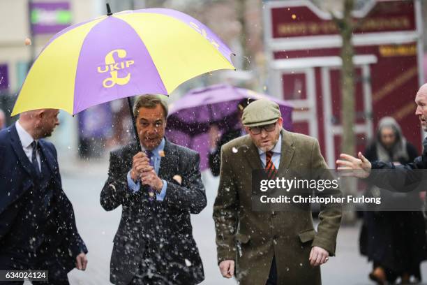 Leader Paul Nuttall and former Leader Nigel Farage MEP dodge an egg thrown by a youth as they arrive in Stoke-On-Trent for a public meeting this...