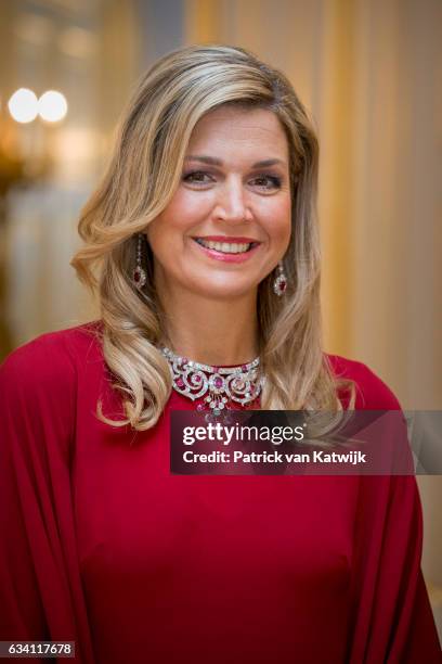 Queen Maxima of the Netherlands hosts a dinner in honor of German president Joachim Gauck at Palace Noordeinde on February 6, 2017 in The Hague,...