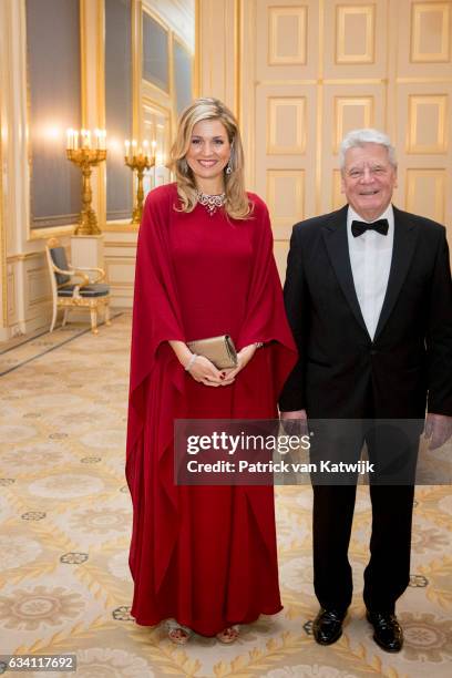 Queen Maxima of the Netherlands hosts a dinner in honor of German president Joachim Gauck at Palace Noordeinde on February 6, 2017 in The Hague,...