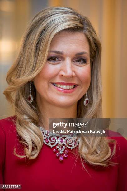 Queen Maxima of the Netherlands hosts a dinner in honor of German president Joachim Gauck at Palace Noordeinde on February 6, 2017 in The Hague,...