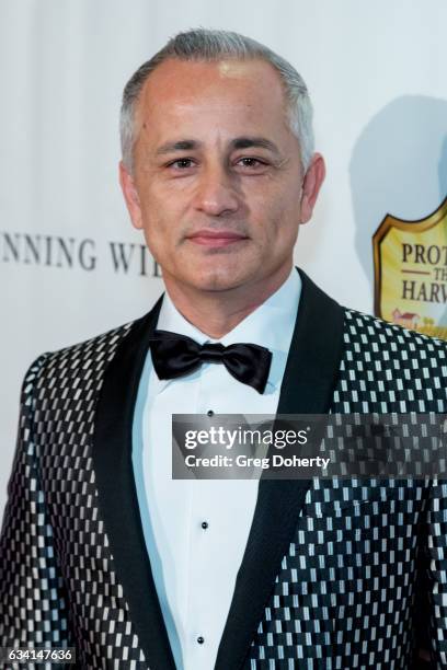 Ali Afshar attends the Premiere Of Sony Pictures Home Entertainment's "Running Wild" at TCL Chinese Theatre on February 6, 2017 in Hollywood,...