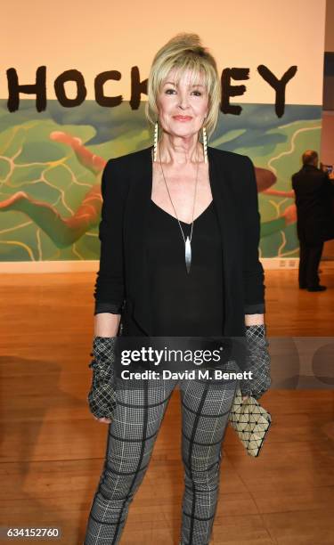 Julia Somerville attends a private view of the David Hockney retrospective at the Tate Britain on February 7, 2017 in London, England.