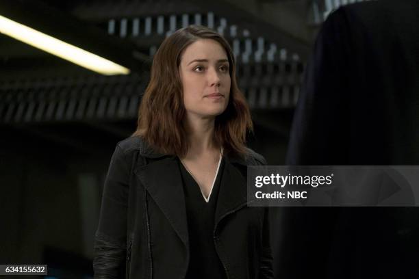 The Architect" Episode 414 -- Pictured: Megan Boone as Elizabeth Keen --