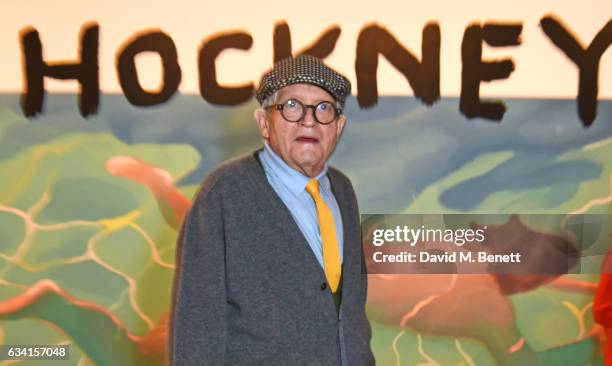 David Hockney attends a private view of the David Hockney retrospective at the Tate Britain on February 7, 2017 in London, England.