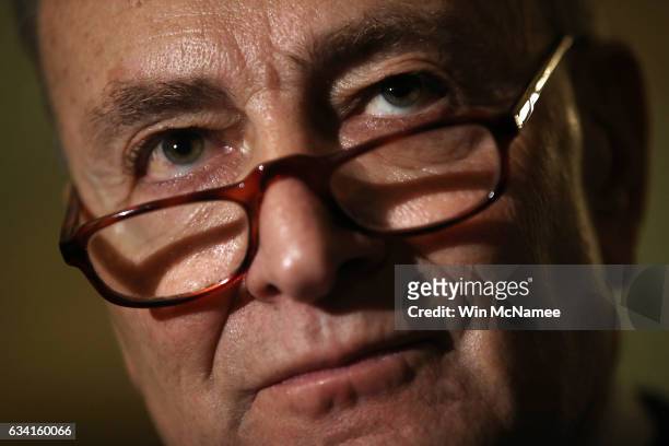 Senate Minority Leader Chuck Schumer answers questions at the U.S. Capitol February 7, 2017 in Washington, DC. Schumer and members of the Senate...