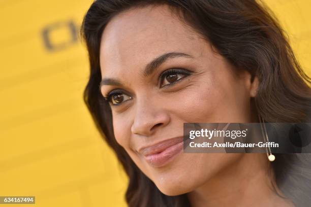 Actress Rosario Dawson arrives at the premiere of Warner Bros. Pictures' 'The LEGO Batman Movie' at Regency Village Theatre on February 4, 2017 in...