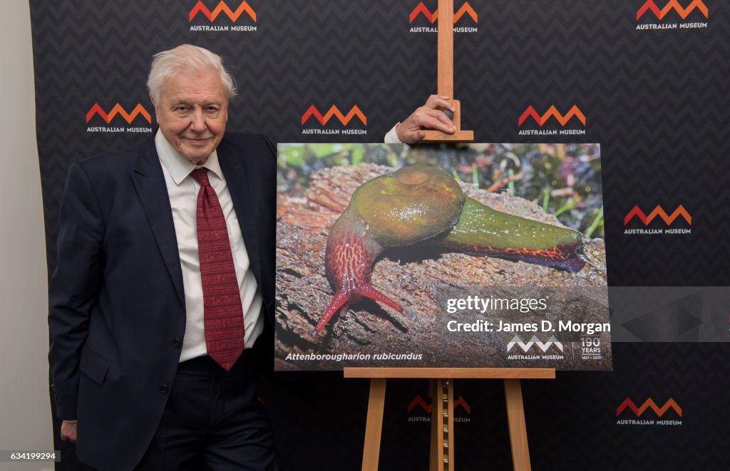 Sir David Attenborough Receives Lifetime Patron Award From Australia Museum