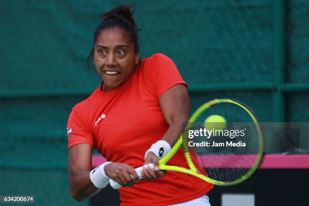 Daniela Seguel of Chile takes a shot during the second day of the Tennis Fed Cup, American Zone Group 1 at Club Deportivo La Asuncion, on February...