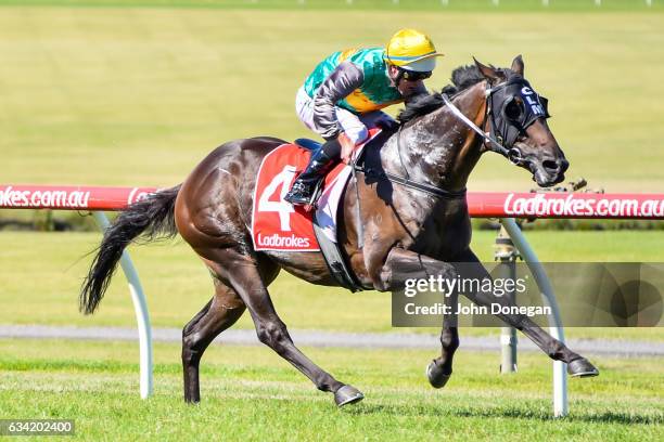 Vantaggio ridden by Luke Nolen wins the Le Pine Funerals Handicap at Ladbrokes Park Lakeside Racecourse on February 08, 2017 in Springvale, Australia.