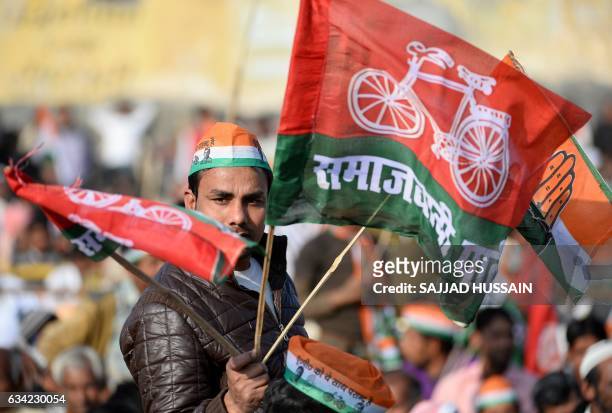 An Indian supporter of the Congress and Samajwadi political parties waves party flags during an election rally by Congress Party leader Rahul Gandhi...