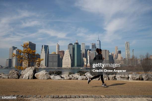 Jogger runs along the Brooklyn Bridge Park, February 8, 2017 in the Brooklyn borough of New York City. As temperatures touched 60 degrees on...