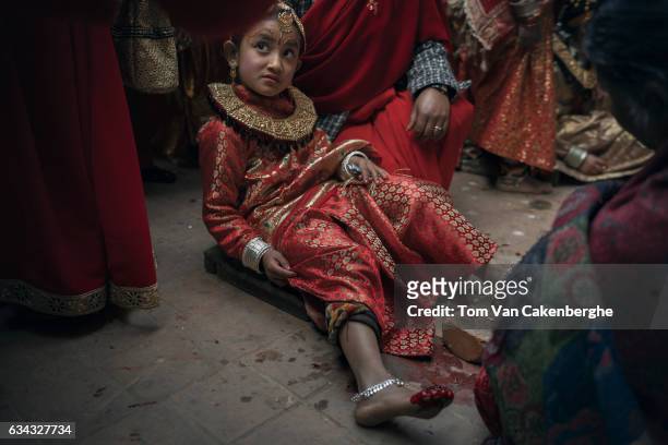 Young Nepalese girls dressed up as brides have their feet painted red as part of the Bel Bibaha ritual, celebrated by the Newari ethnicity,...