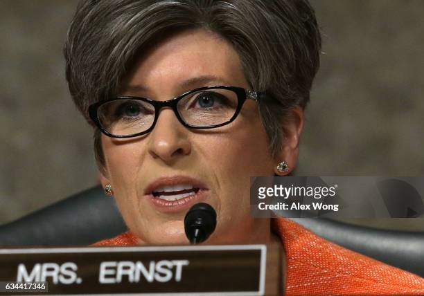 Sen. Joni Ernst speaks during a hearing before Senate Armed Services Committee February 9, 2017 on Capitol Hill in Washington, DC. The committee held...