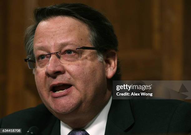 Sen. Gary Peters speaks during a hearing before Senate Armed Services Committee February 9, 2017 on Capitol Hill in Washington, DC. The committee...