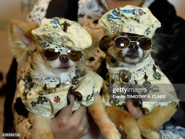 Dogs dressed in the fashion of France and contestants in the World Fashion Presents segment pose during the 14th Annual New York Pet Fashion Show...