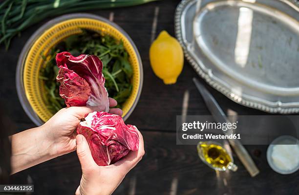 radicchio salad and baby spinach, arugula and lettuce, dressing of yogurt, olive oil, and lemon - radicchio ストックフォトと画像