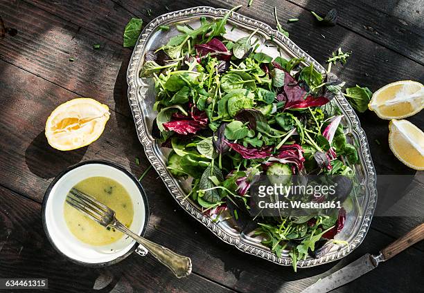 spring salad of baby spinach, herbs, arugula and lettuce, dressing of yogurt, olive oil, honey and lemon - dressing up stock-fotos und bilder
