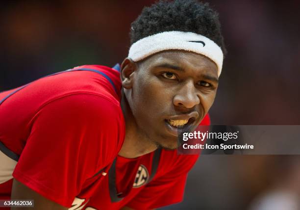 Miss Rasheed 51 Rasheed Brooks Stock Photos, High-Res Pictures, and Images - Getty ...