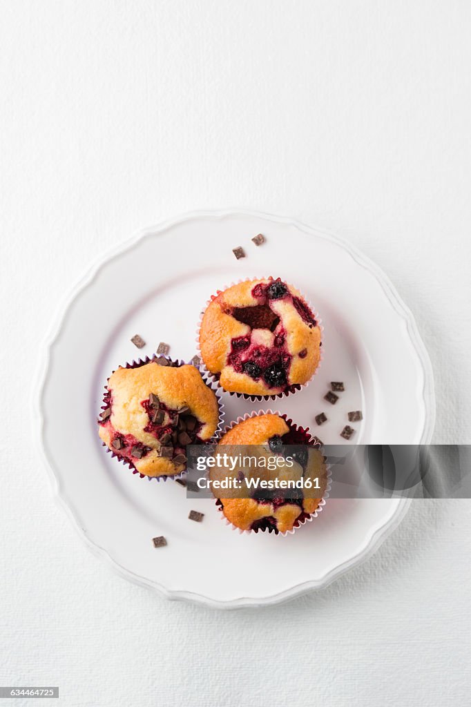 Muffin with chocolate chips, blueberries and raspberries on plate